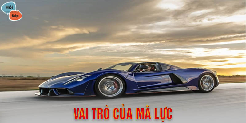 Vai trò của mã lực trong vật lý