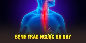 Trào Ngược Dạ Dày: Nguyên Nhân, Triệu Chứng và Giải Pháp Điều Trị Tốt Nhất